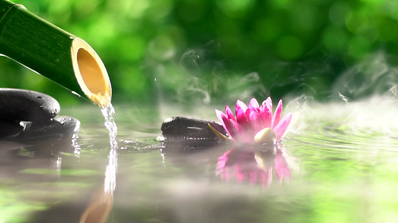 Bamboo water spout pouring over smooth river stones beside a pink lotus flower on still water